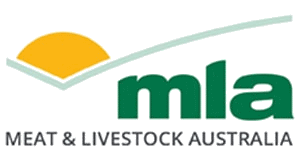 mla